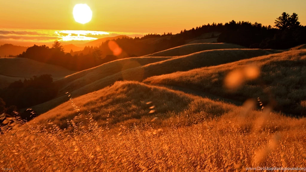 Download 1920x1080 Skyline Sunset Wallpapers