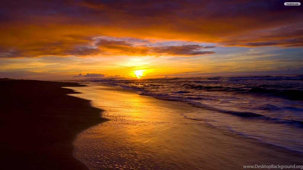 Beach Sunset Wallpapers