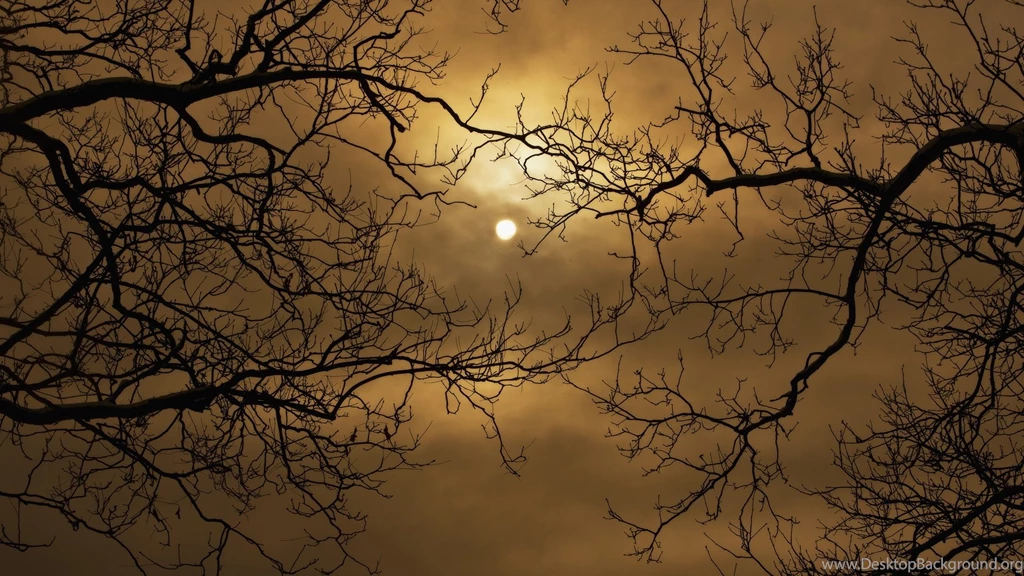Eerie, Jpg, Wallpaper, Fanpop, Wallpapers, Halloween, Fanclubs ...