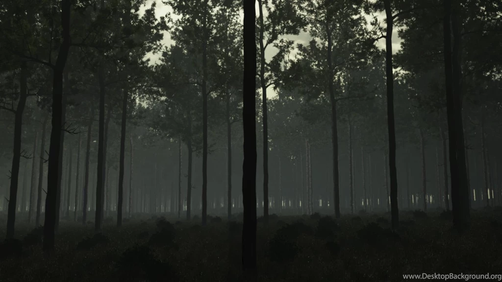 Eerie Forest 1 By Zlain81 On DeviantArt