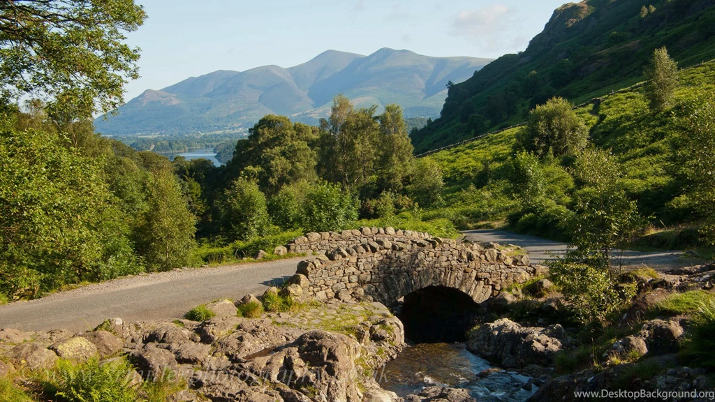 British Wildlife Wallpapers 17 Free Hd Wallpapers   Hdnaturewall.com