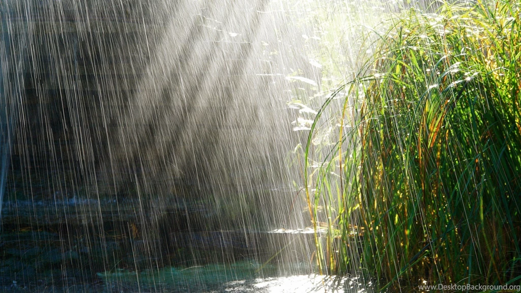 Rain HD Desktop Wallpapers   Universal Unique Tubes