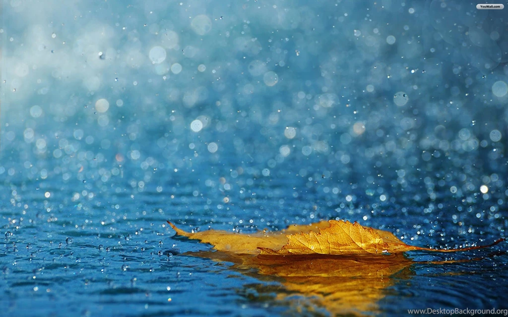 Leaf Rain Wallpapers HD For Windows 7