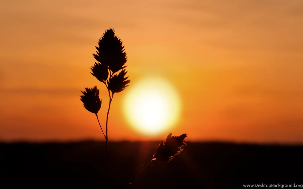 Nature Archives Page 11 Of 15 HD Wallpapers Source