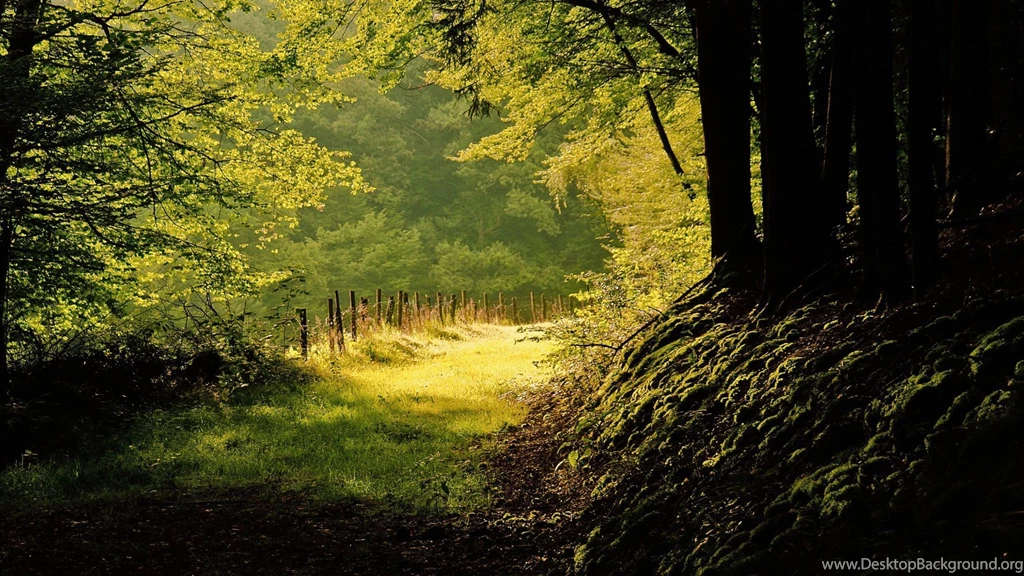 Imac Wallpapers Wallpapers Cave