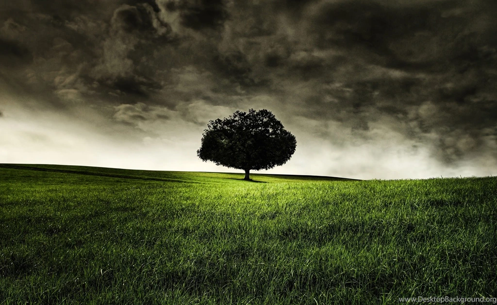 Dark Nature Wallpapers Free With HD Wallpapers Kemecer.com