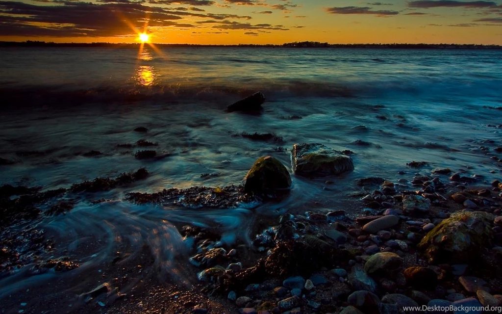 Nature Wide 1440x900