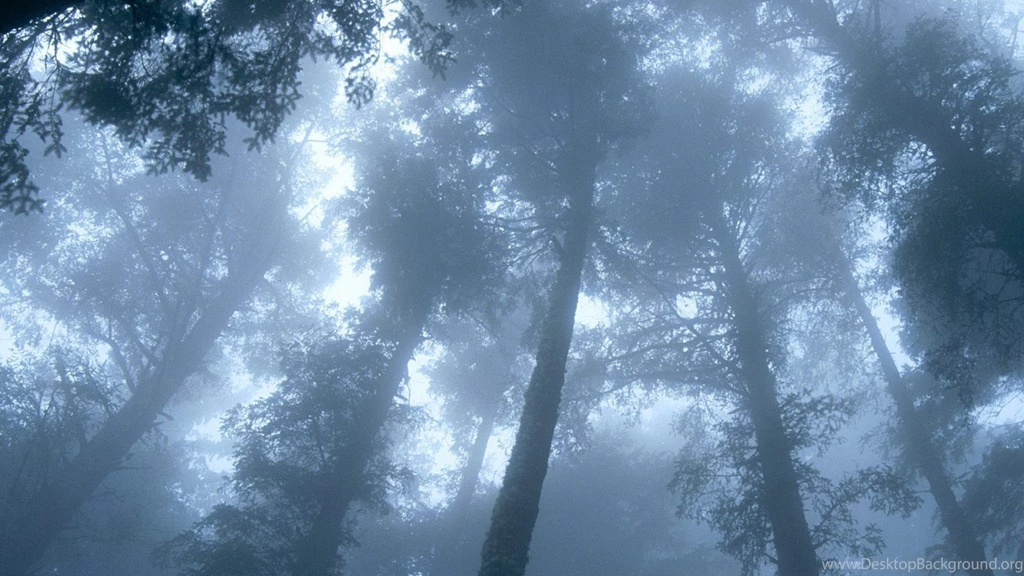 Justpict.com Oregon Wallpapers