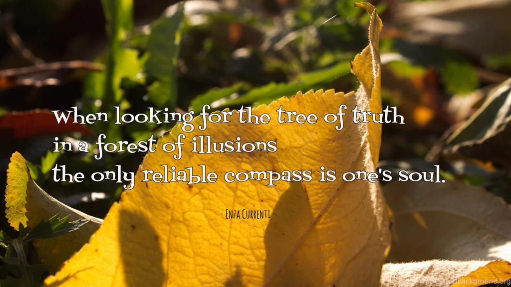 When Looking For The Tree Of Truth... Wallpapers