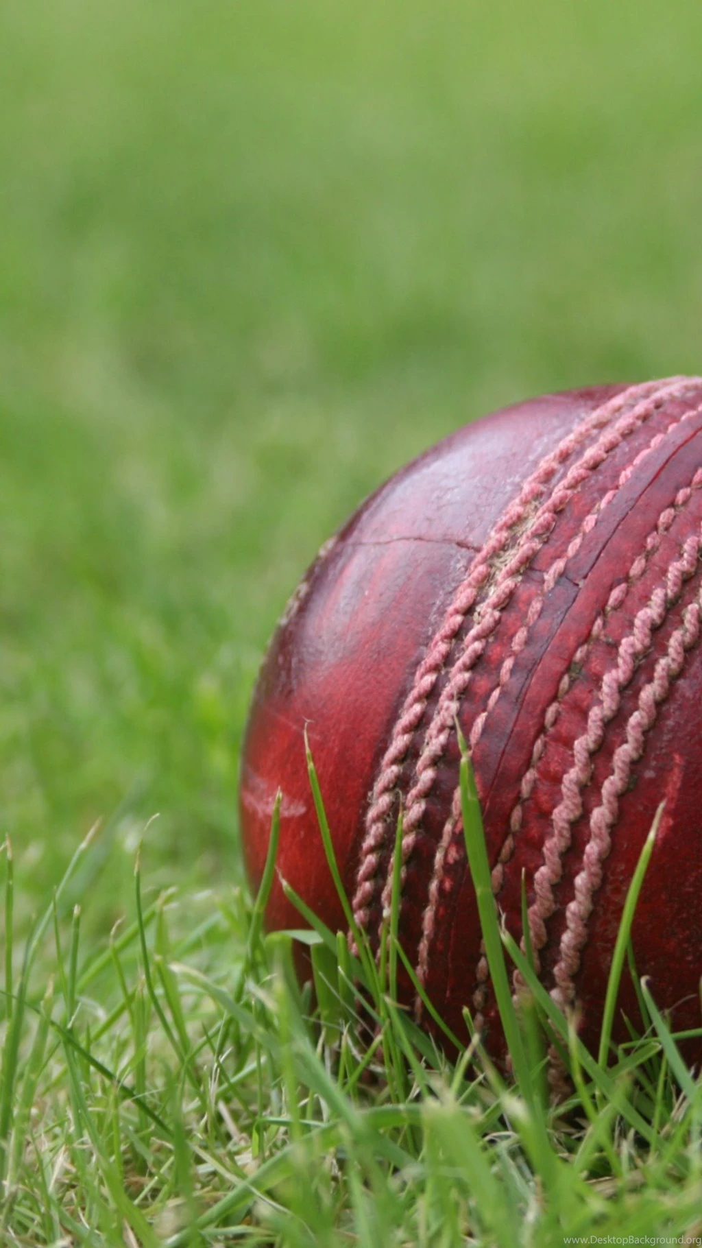 Cricket World Cup 2015 Wallpapers For iPhone & iPad   Cupertino Times