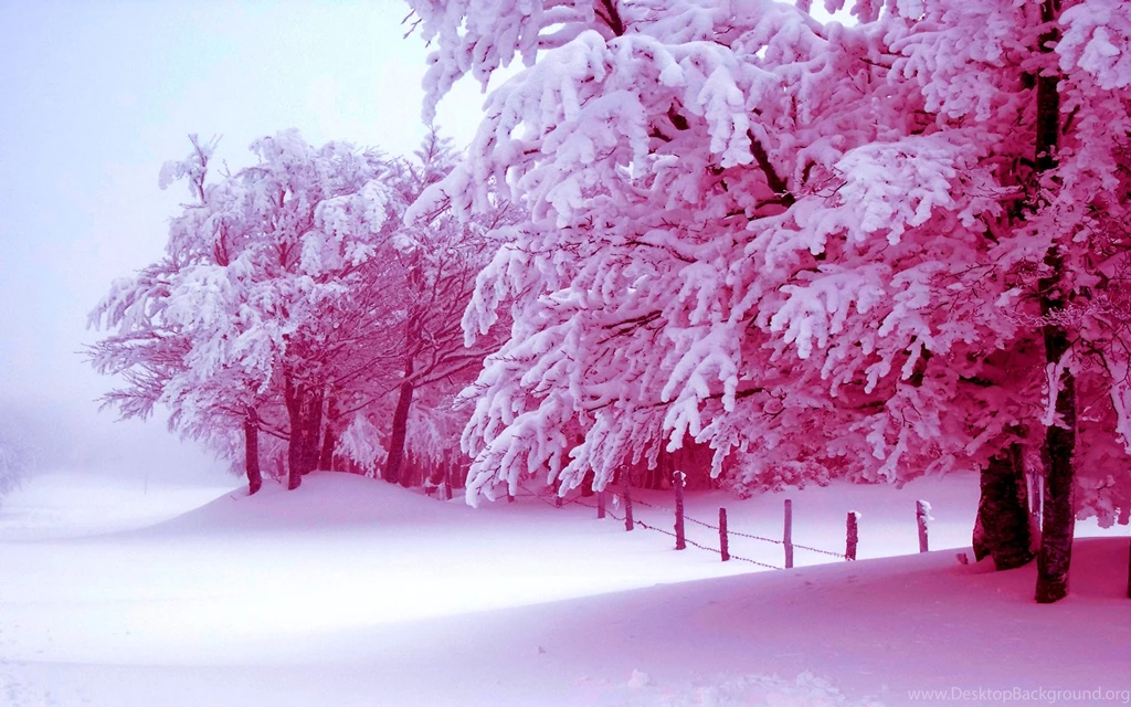 Hd Winter Wallpapers 20 – HdCoolWallpapers.Com