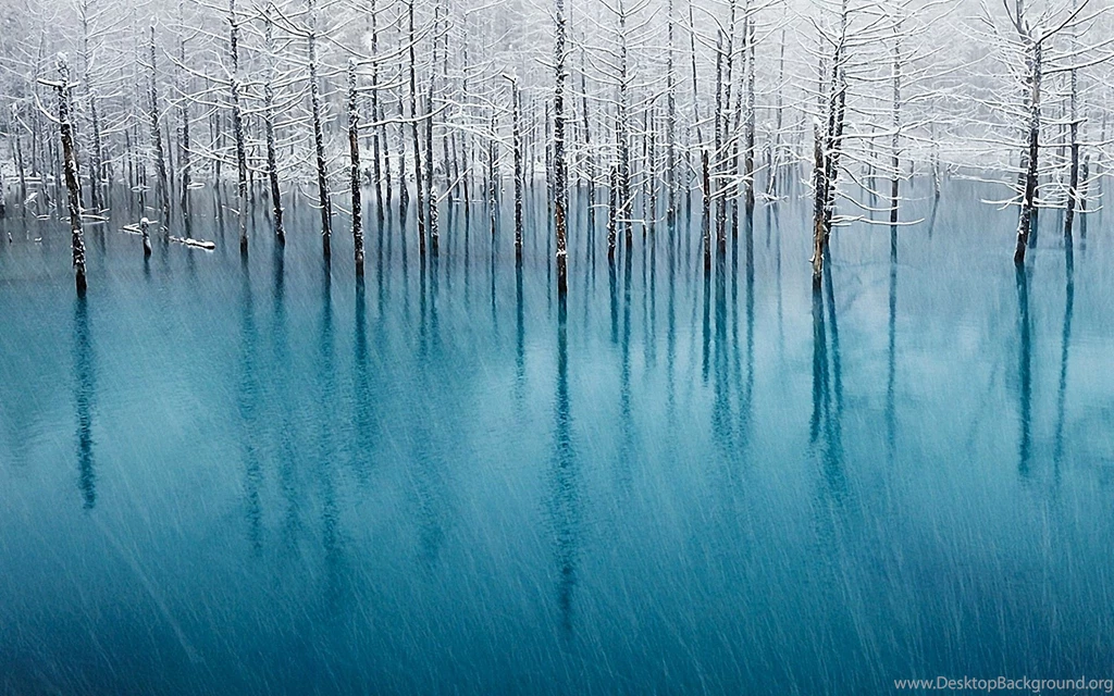Hd Winter Wallpapers 9 – HdCoolWallpapers.Com