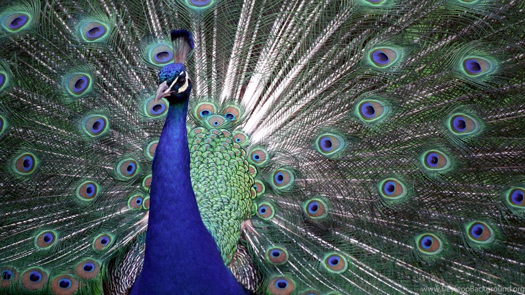 HD High Definition Wallpapers, Quality Desktop Wallpapers ...