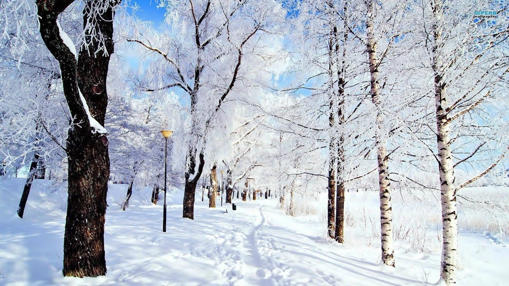 Winter Computer Wallpapers, Desktop Backgrounds