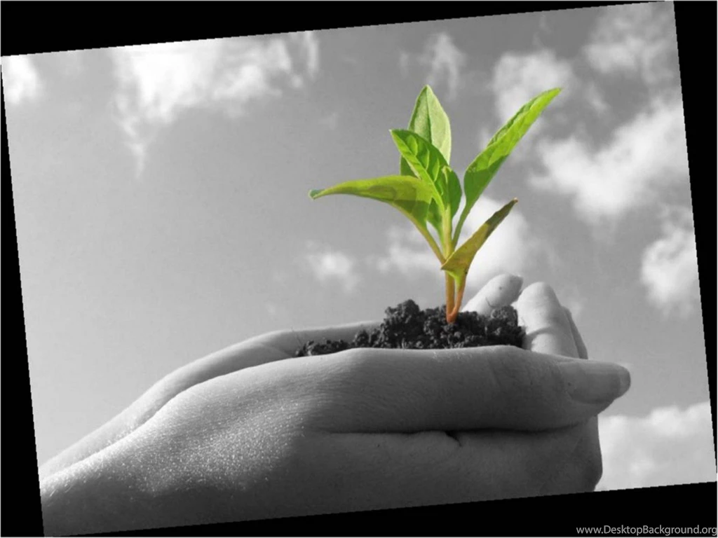 Cute Earth Day Wallpapers 1600x1200 173439