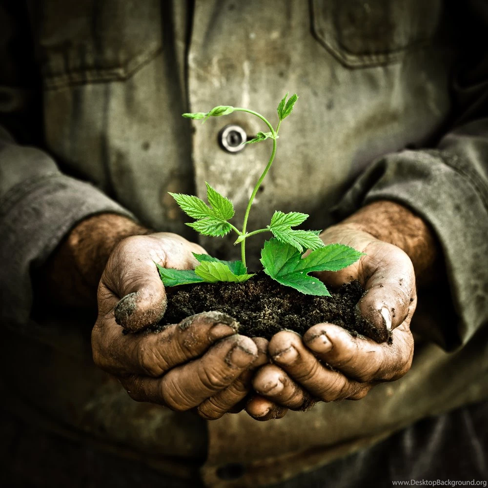 Earth Day – BUZZERG