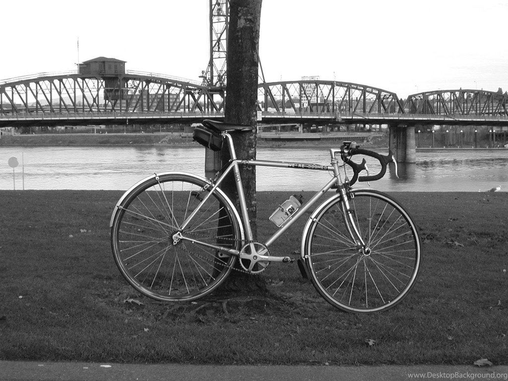 Fixie