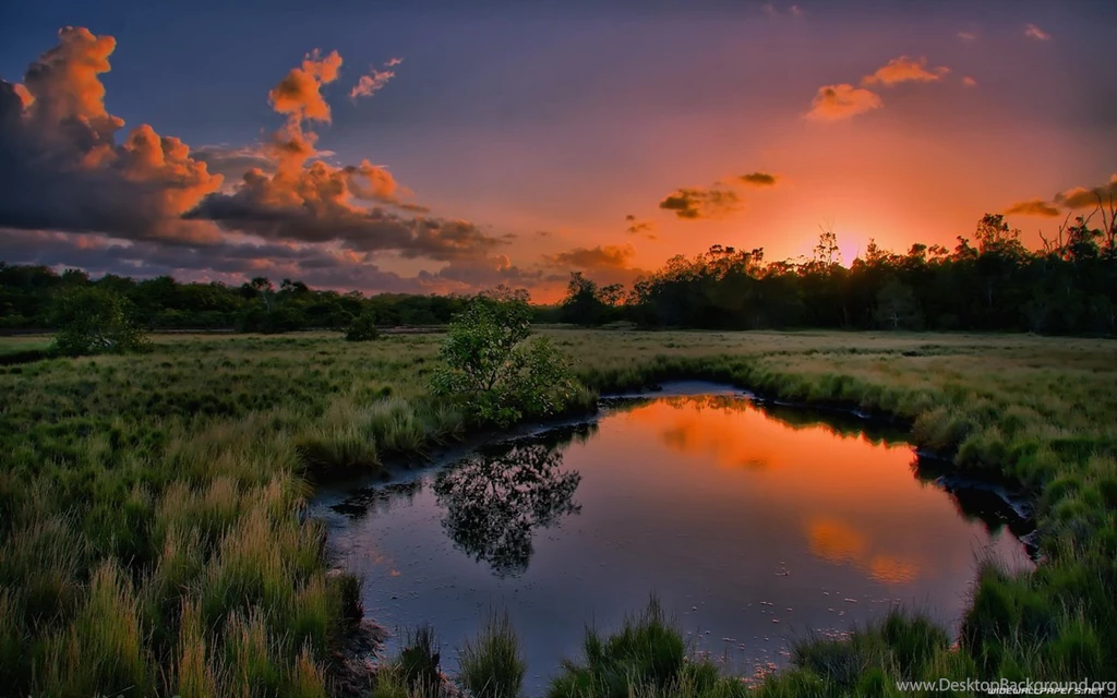 1280X800 Wallpapers