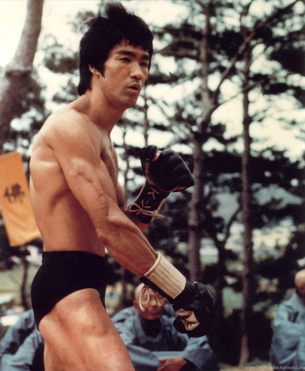 Jestingstock.com Bruce Lee Muscles Wallpapers