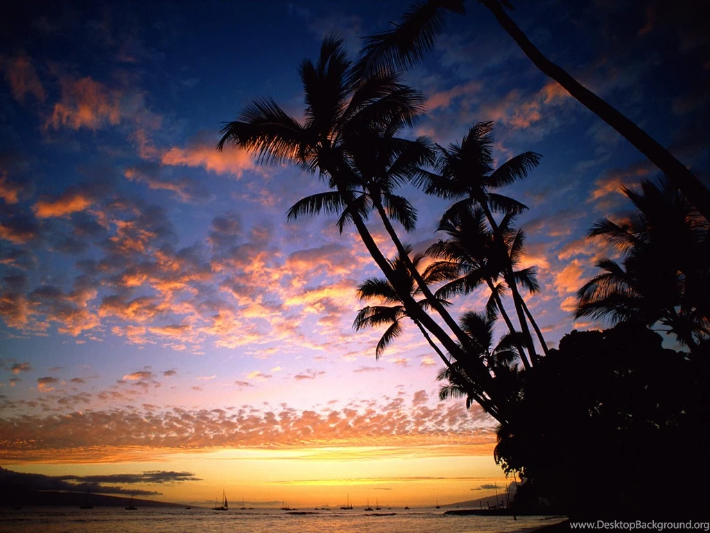 Hawaiian Desktop Wallpapers HD Wallpaper Backgrounds Of Your Choice