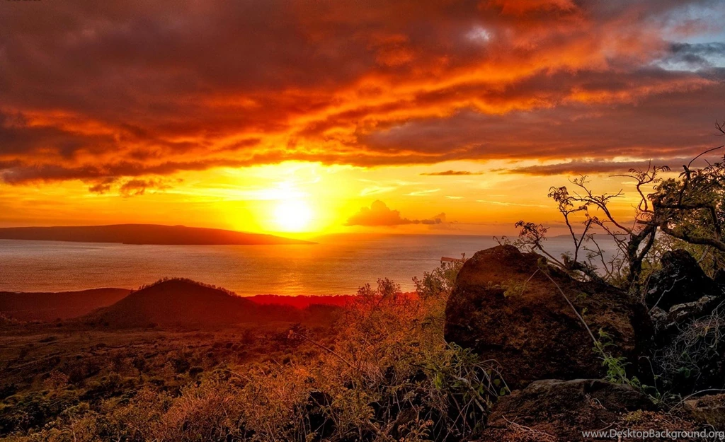 Hawaiian Sunset (