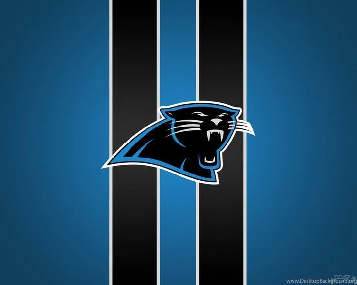 Perfect For Lining The Walls Of The Man Cave  Carolina Panthers ...