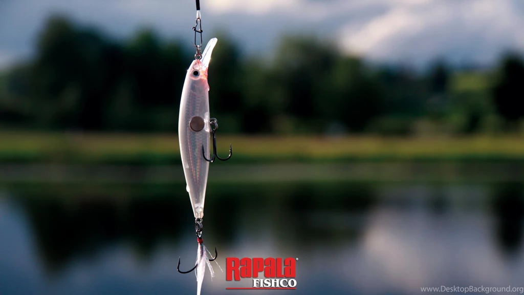 Rapala Fishco – Wallpapers