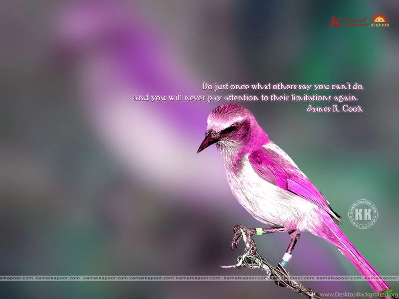 Fact Quotation Wallpapers, Exclusive Full Screen Wallpapers Of ...