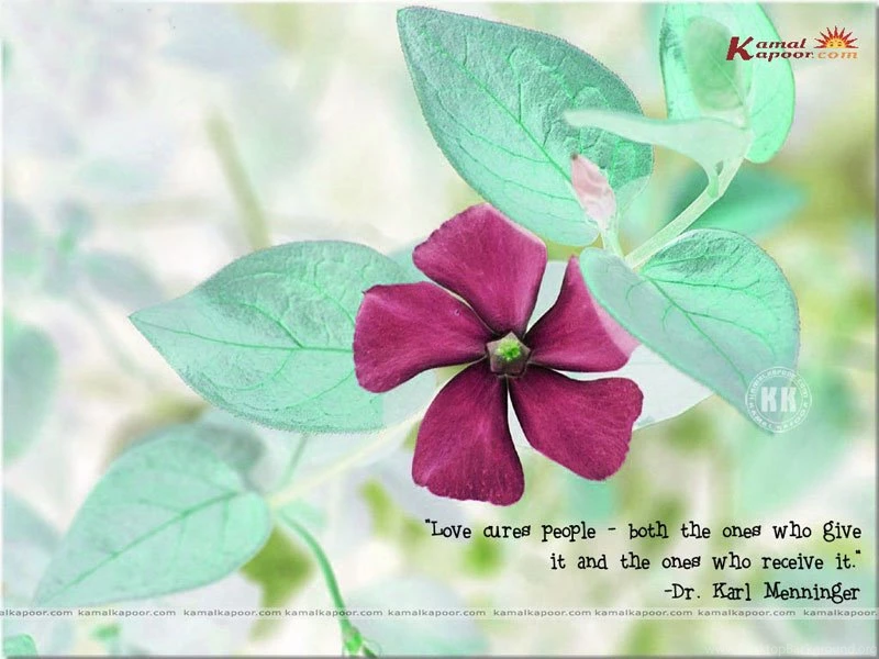 Love Quotation Wallpapers, Quote Computer Wallpapers, Love ...