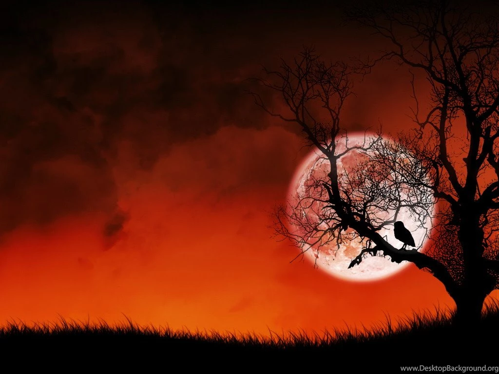 Windows XP Full HD Wallpapers   HD Images New