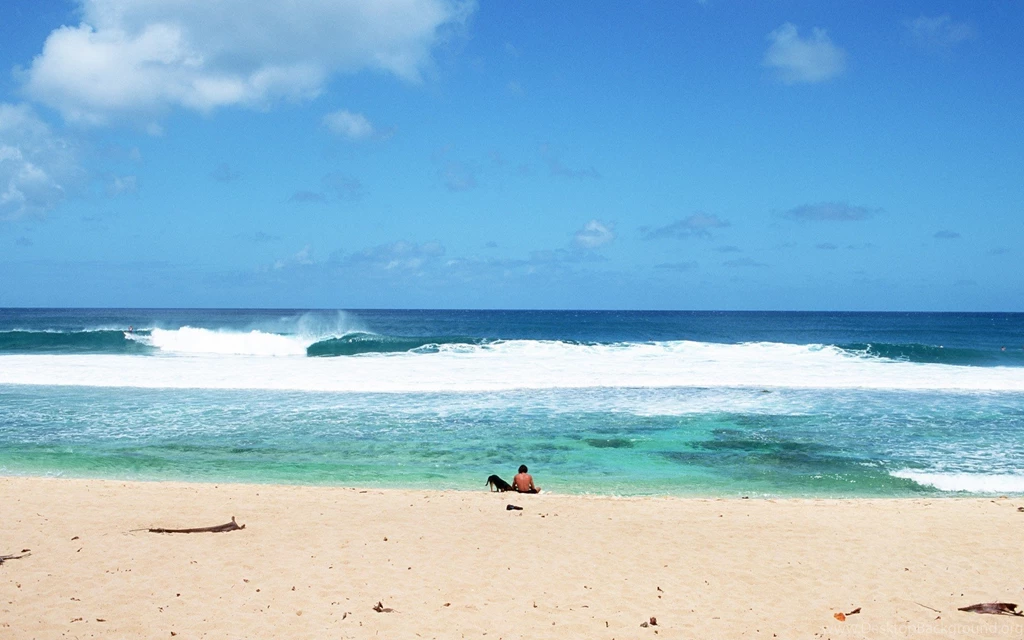 SUMMER EVERYWHERE WALLPAPERS