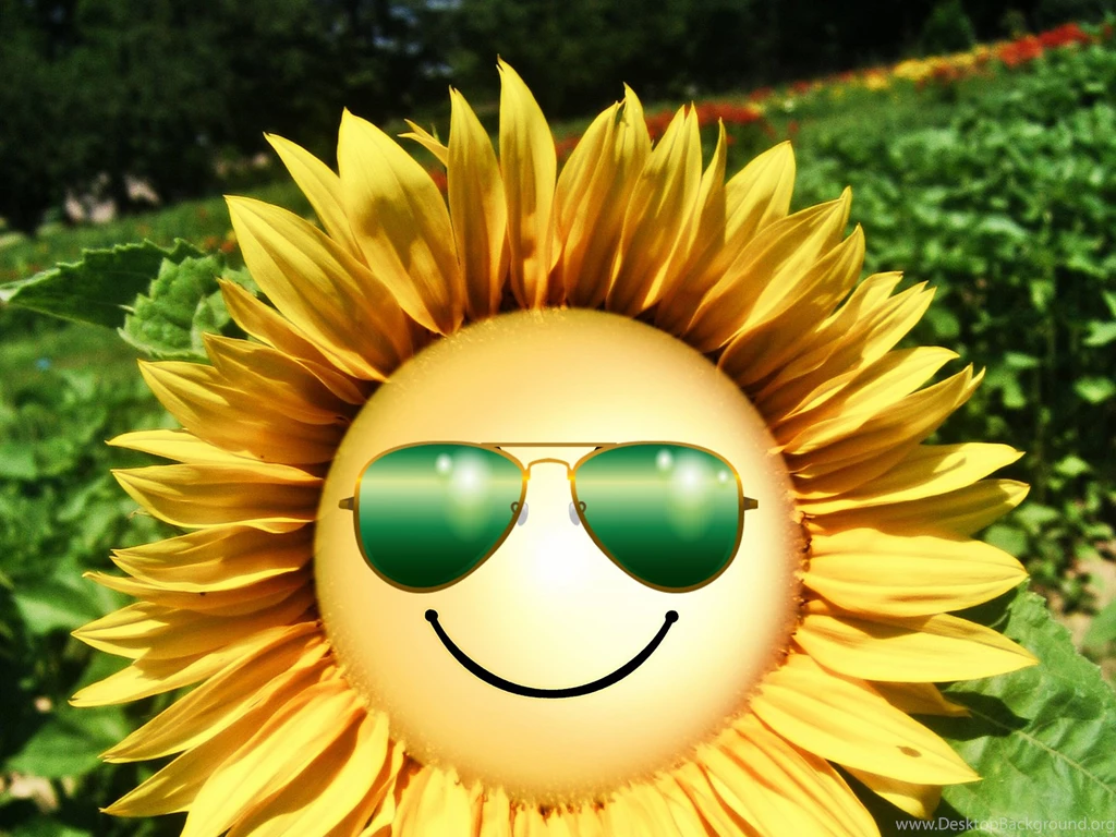 Happy Week End HD Wallpapers For Week End Lovers