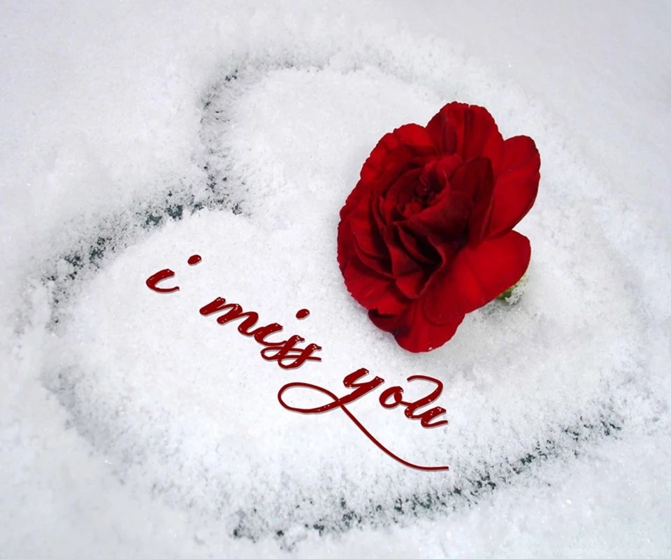 Miss u wallpaper roses