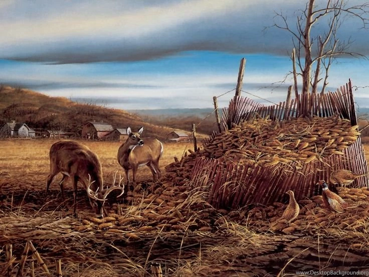 Terry Redlin