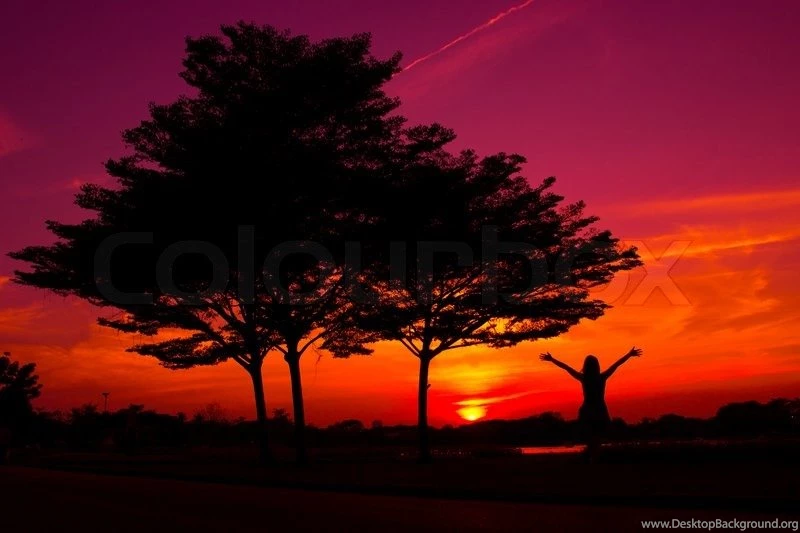 A Woman Relaxing On A Teeter With Sunset In A Backgrounds