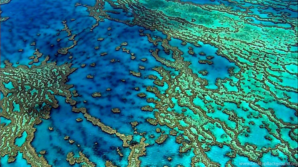 GREAT BARRIER REEF WALLPAPER (