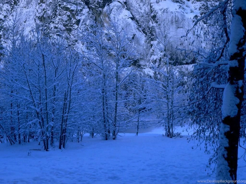 Winter Scene Christmas Wallpapers (2735688) Fanpop