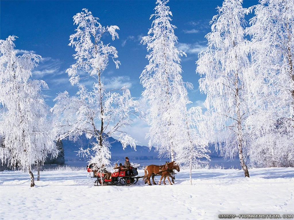 Desktop Backgrounds Winter Scenes HD Wallpapers Desktop Wallpapers ...