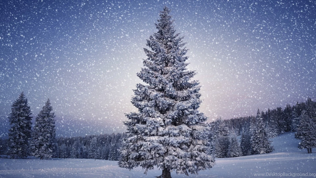 Beautiful Winter, Landscape, Pine, Christmas, Snow White