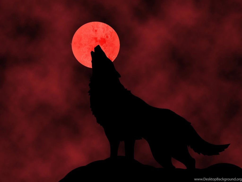 Blood Moon High Quality Wallpapers