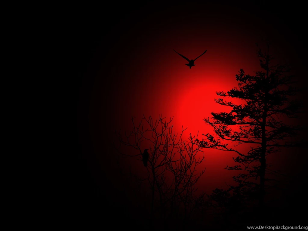Wallpaperres.com