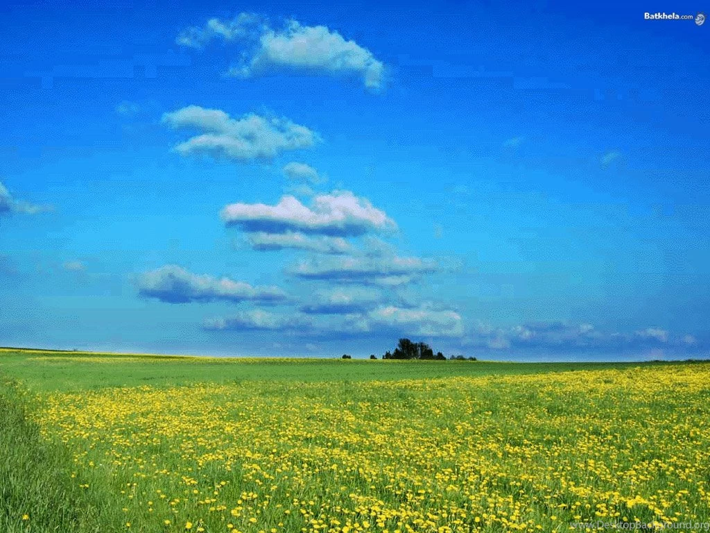 Garden Savannah Nature Wallpapers Free Flowers