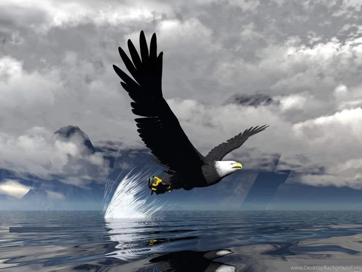 3D Moving Wallpapers