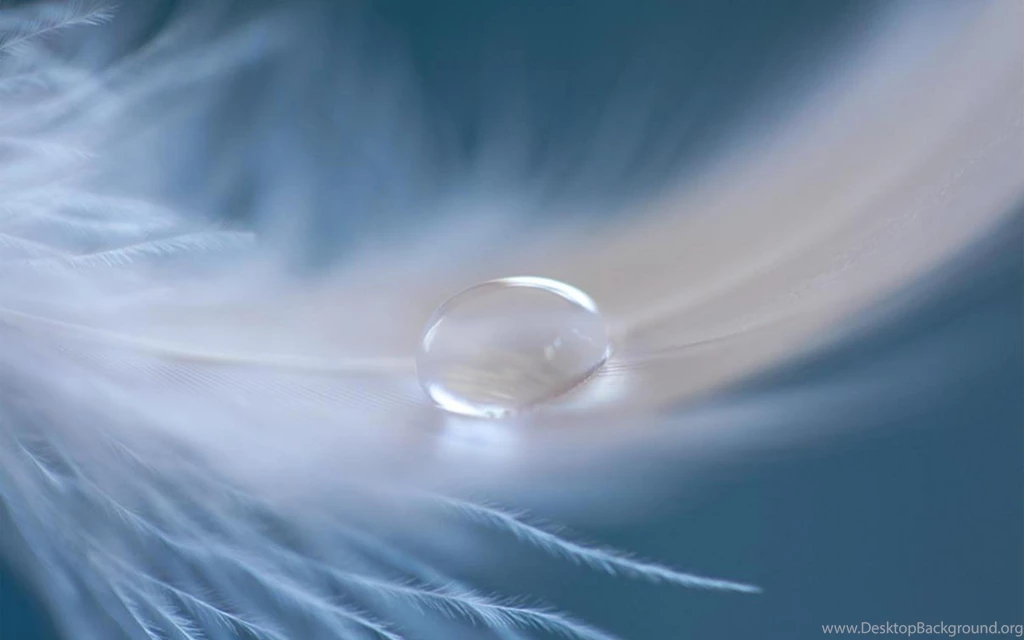 ANGEL TEAR WALLPAPER   (