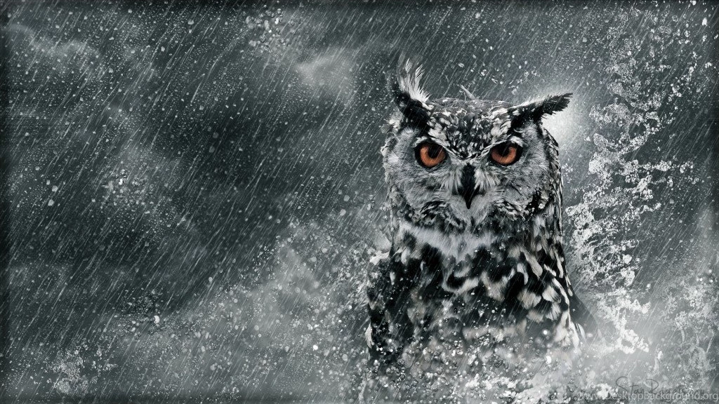 Stan Ragets Blog – The Watchman