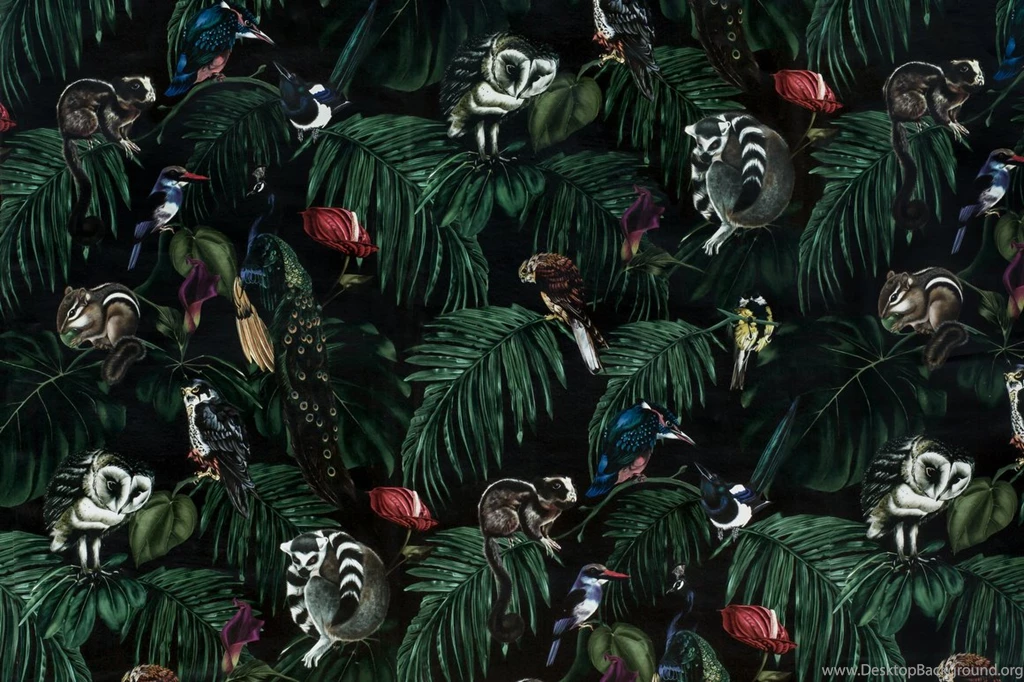 WITCH AND WATCHMAN « CONSTANTIN GERLACH