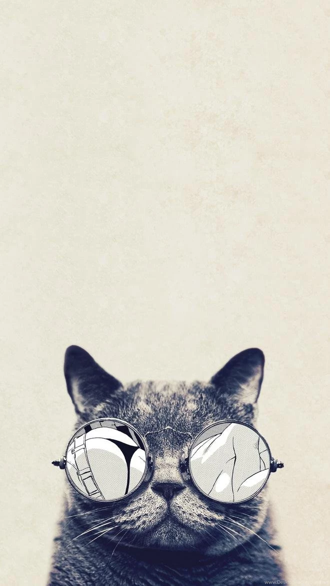 Cat With Glasses HTC Hd Wallpapers HD Wallpapers And Backgrounds ...