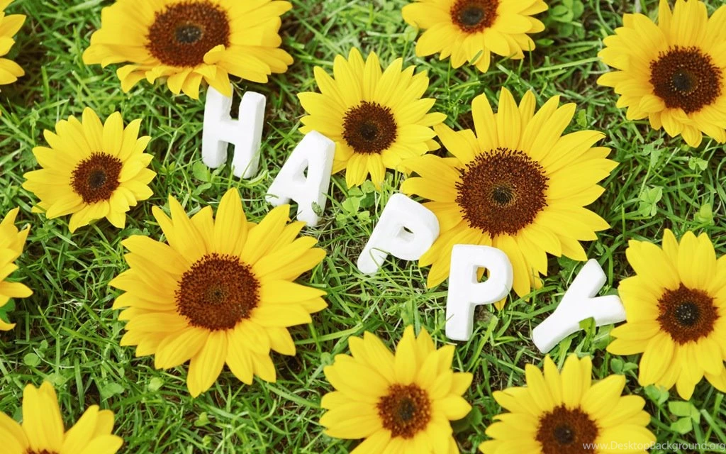 Happy Life HD Wallpapers