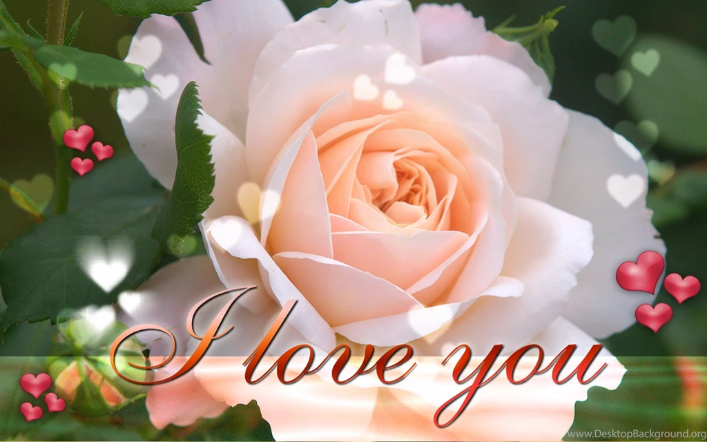Romantic Love Nice Image Home Decor ~ Hohodd