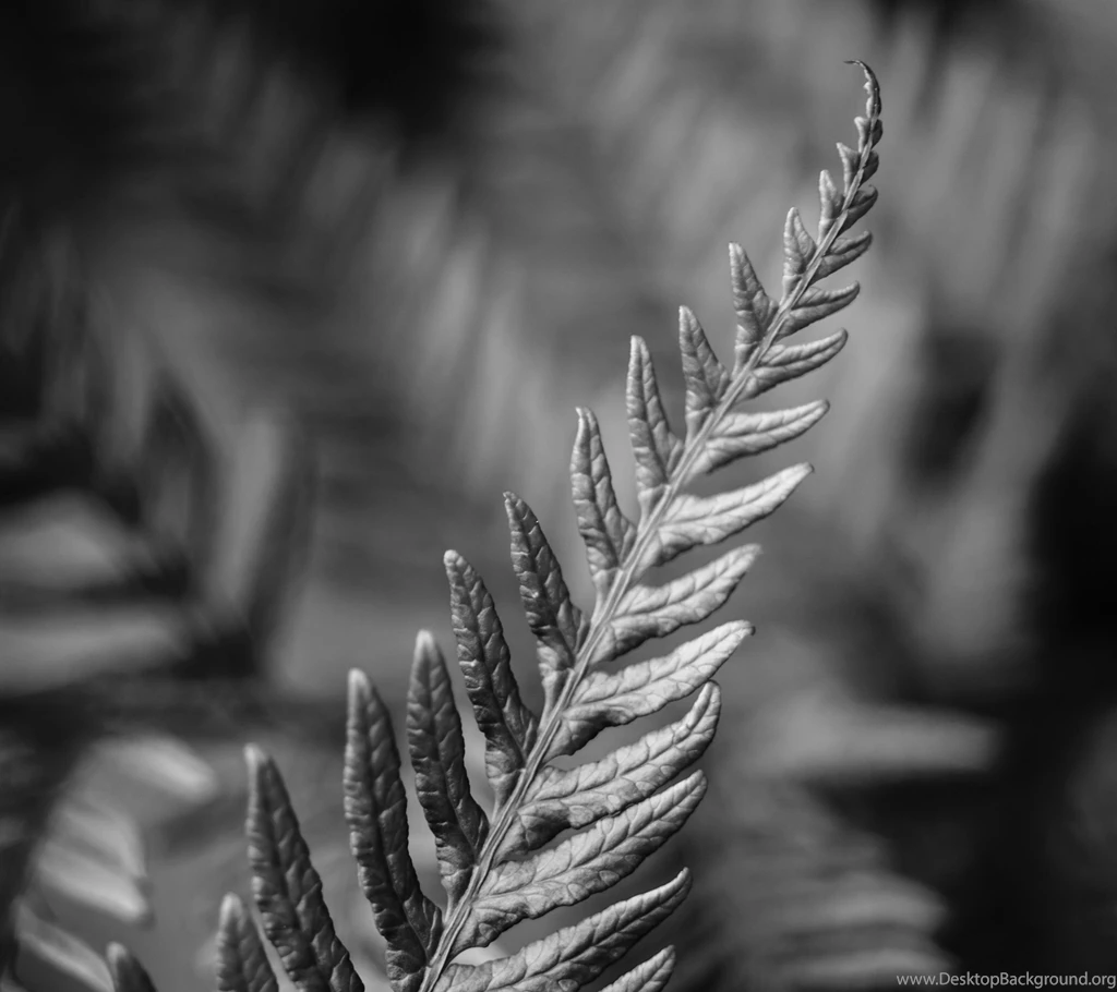 HTC One M8 HD Wallpapers Free Download Here